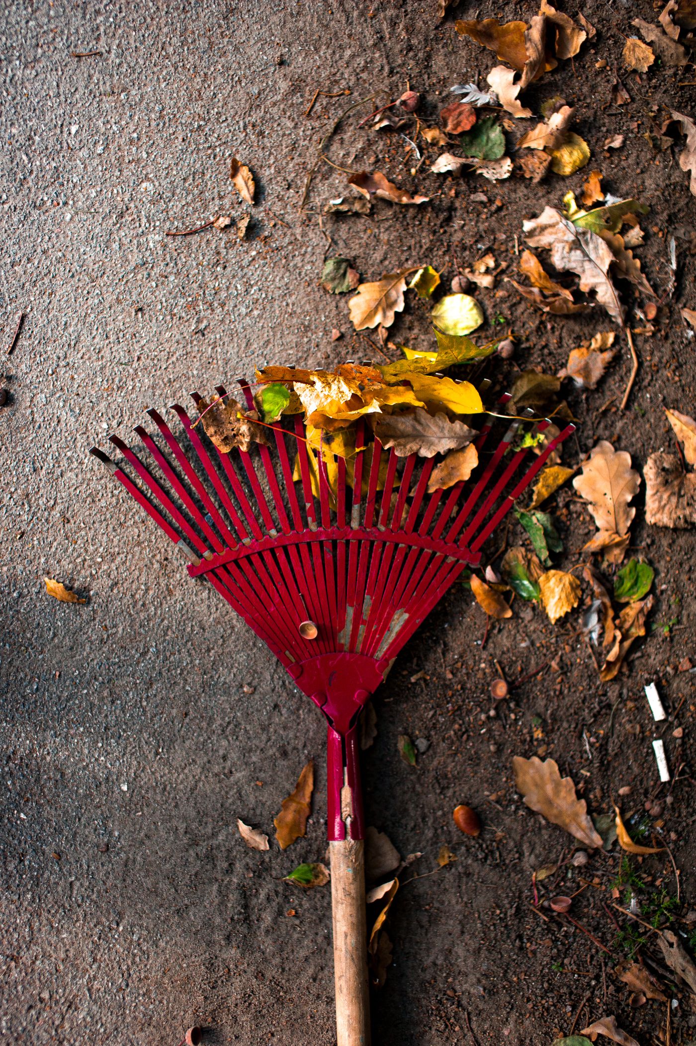 Cleanup Services