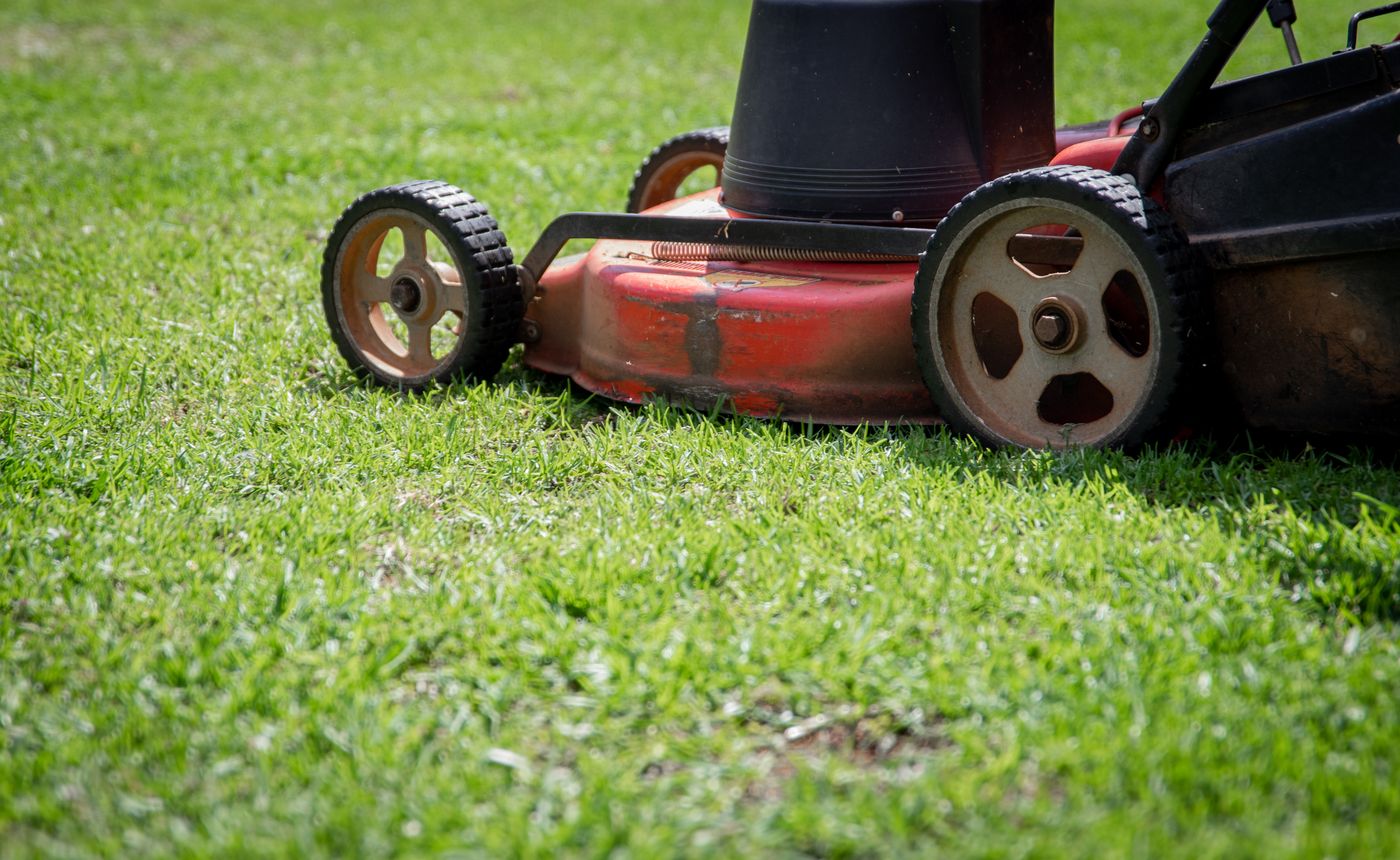 Lawn maintenance