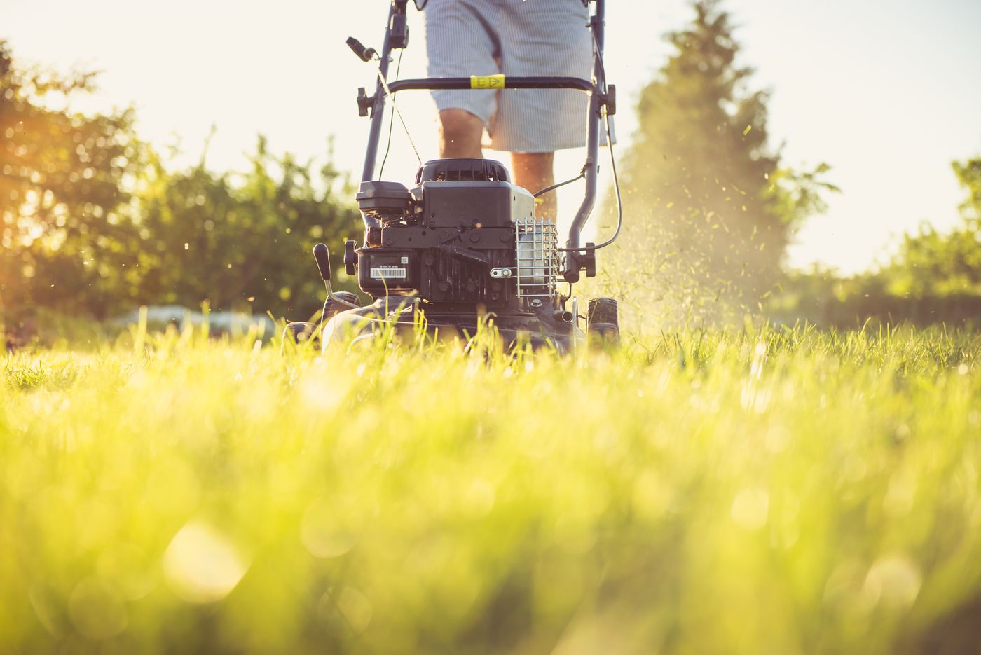 Lawn Maintenance
