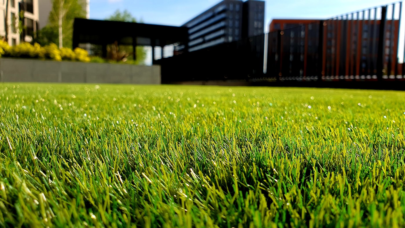 Sod Installation